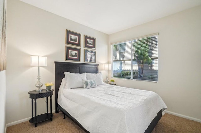 bedroom featuring carpet