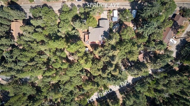 6204 Spruce Ave, Angelus Oaks, CA 92305 - aerial view of property and surrounding area