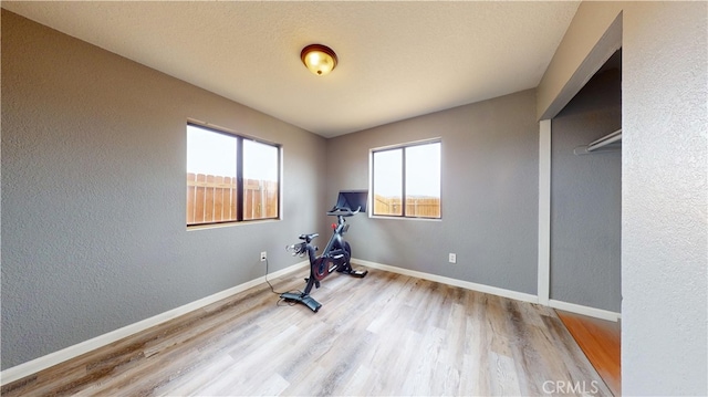 workout area featuring light hardwood / wood-style floors