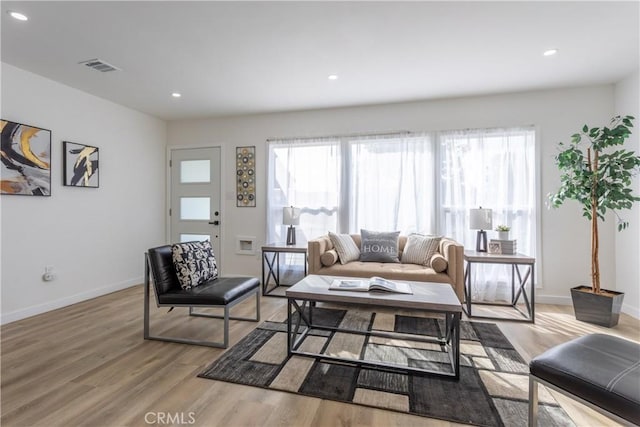 living room featuring wood-type flooring