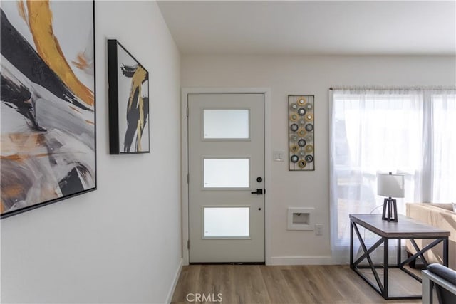 foyer entrance with light hardwood / wood-style flooring