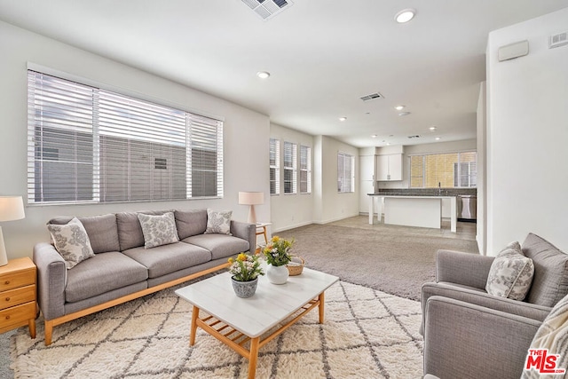 carpeted living room with sink