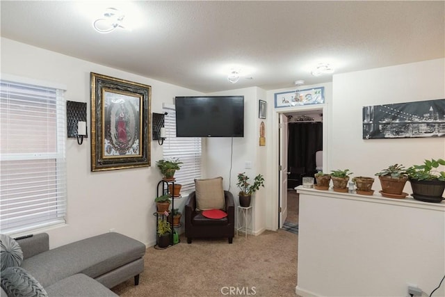 living room with light carpet