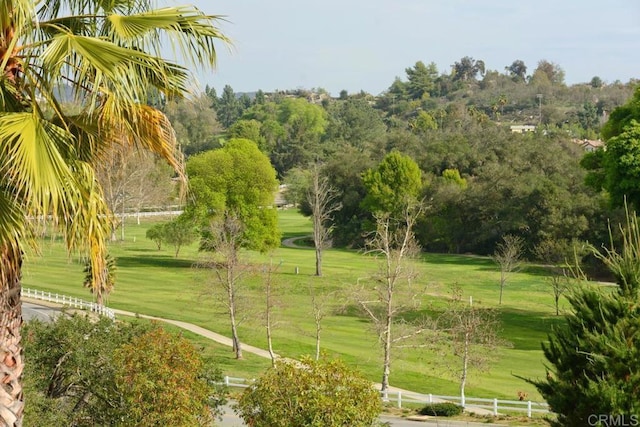 view of community with a yard