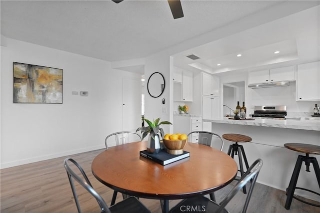 dining room with light hardwood / wood-style floors and a raised ceiling