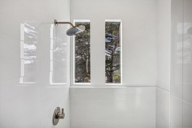 room details with a tile shower