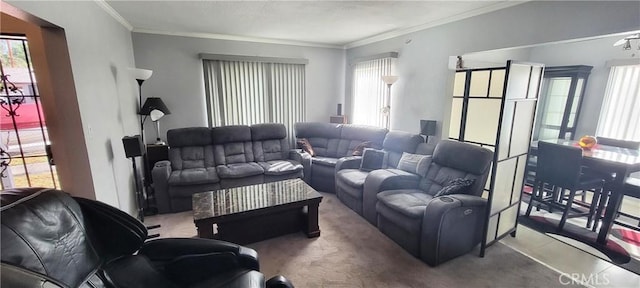 living room with carpet and crown molding