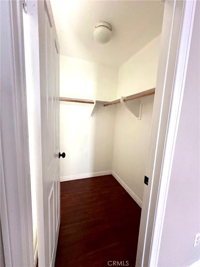 spacious closet featuring dark hardwood / wood-style floors