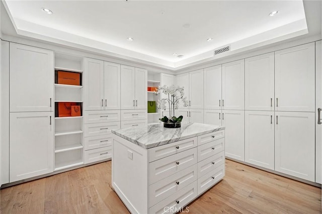 spacious closet with light hardwood / wood-style flooring and a tray ceiling