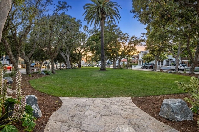 view of home's community with a lawn