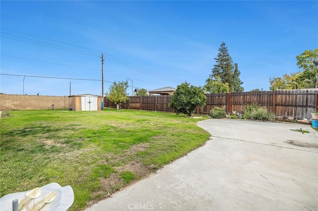 view of yard with a patio and a shed