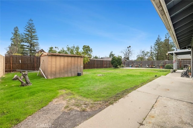 view of yard with a patio area and a storage shed