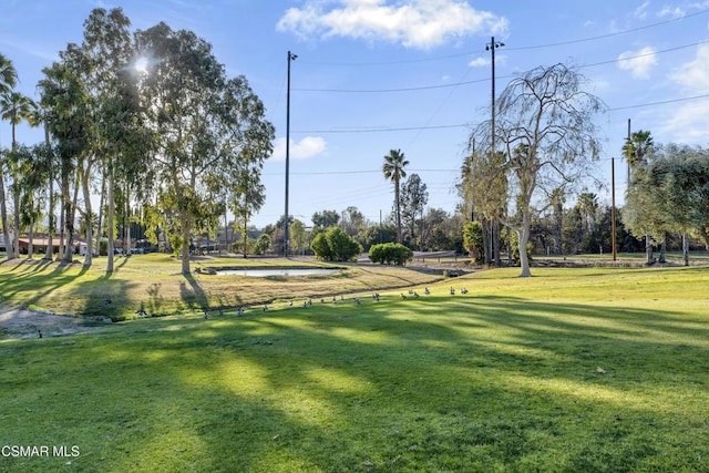 view of property's community with a yard