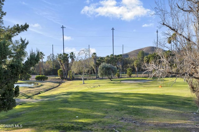 view of community with a mountain view and a yard