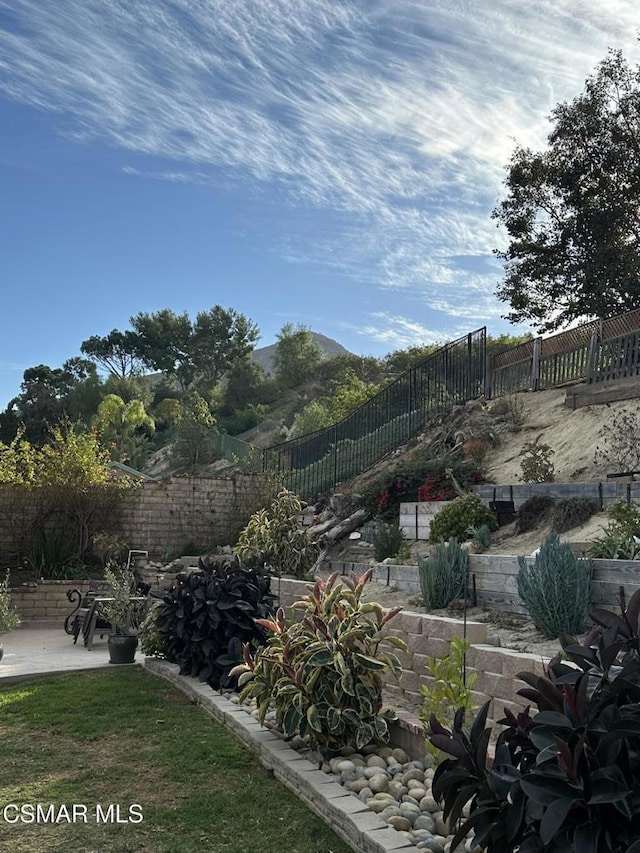 view of yard featuring a patio area and a mountain view