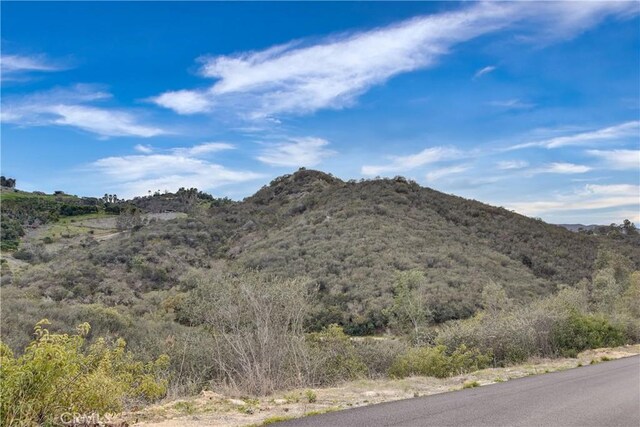 39939 Jones Rd, Fallbrook, CA 92028 - photo 30