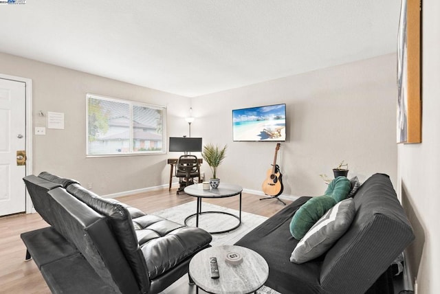 living room with light hardwood / wood-style floors