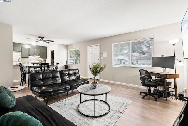 living room with ceiling fan and wood-type flooring