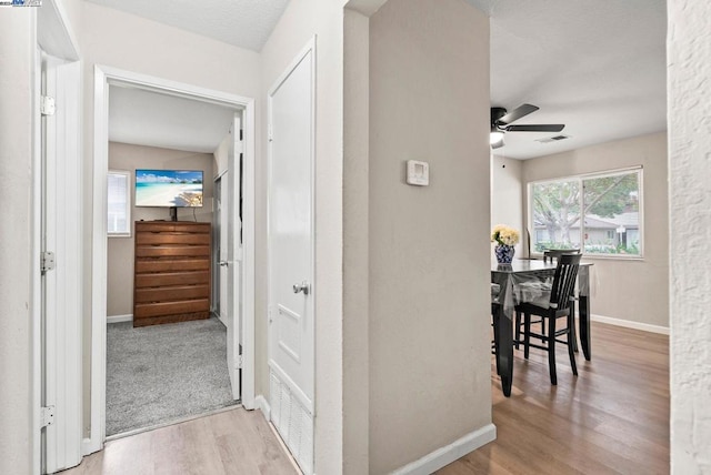 hallway with light hardwood / wood-style flooring