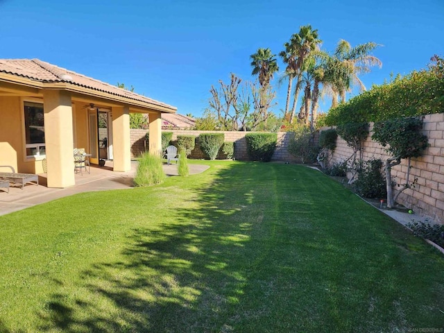 view of yard featuring a patio area