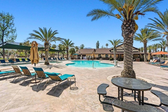 view of swimming pool featuring a patio area