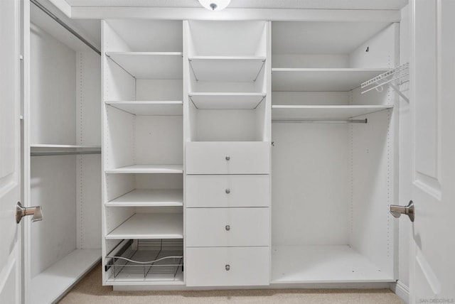 walk in closet featuring light colored carpet