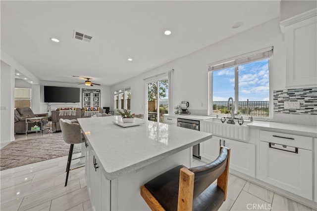 kitchen featuring white cabinetry, decorative backsplash, stainless steel dishwasher, and sink