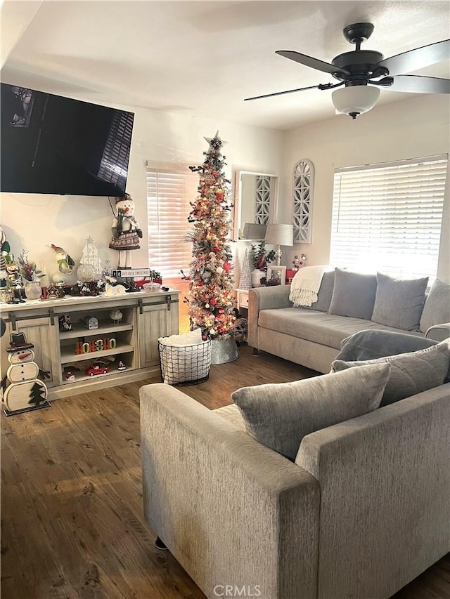 living room with ceiling fan and dark wood-type flooring