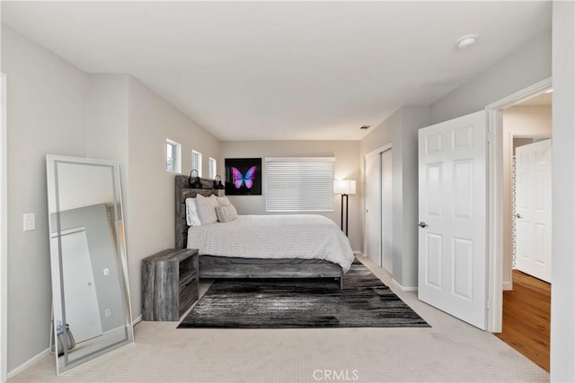 bedroom featuring carpet flooring