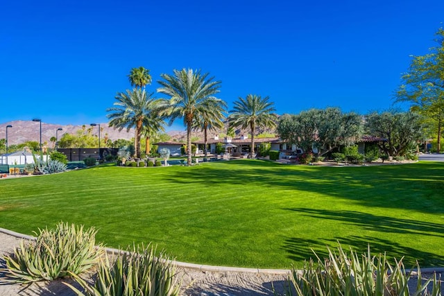 view of home's community featuring a yard