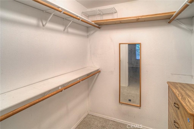 walk in closet featuring carpet flooring