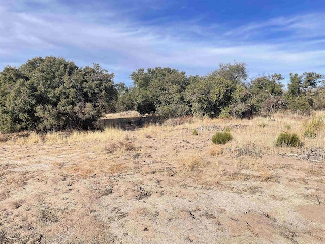 Listing photo 3 for 21.68ACRES Tierra Del Sol Rd, Boulevard CA 91905