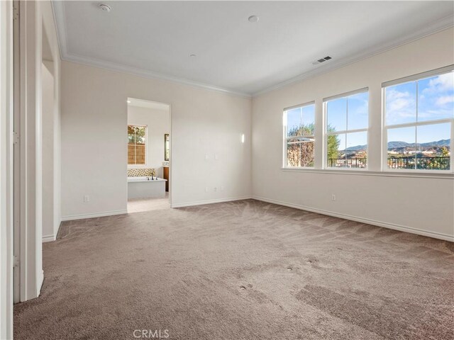 carpeted spare room featuring crown molding and a mountain view