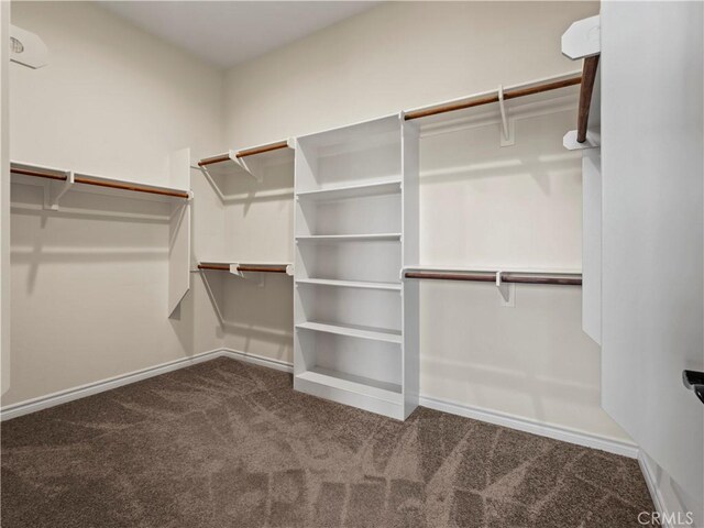 walk in closet featuring dark colored carpet