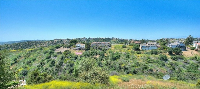 2691 Shady Ridge Ln, Diamond Bar, CA 91765 - photo 22