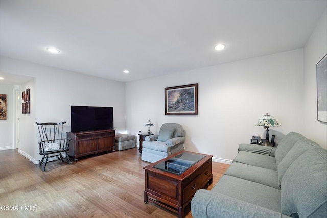 living room featuring wood-type flooring