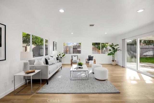 living room featuring plenty of natural light and light wood-type flooring