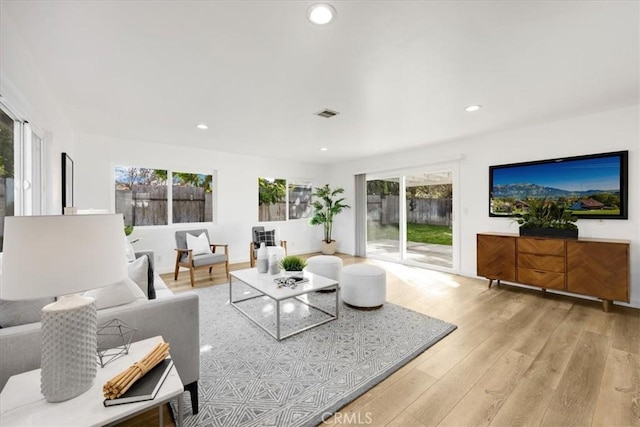 living room with light hardwood / wood-style floors