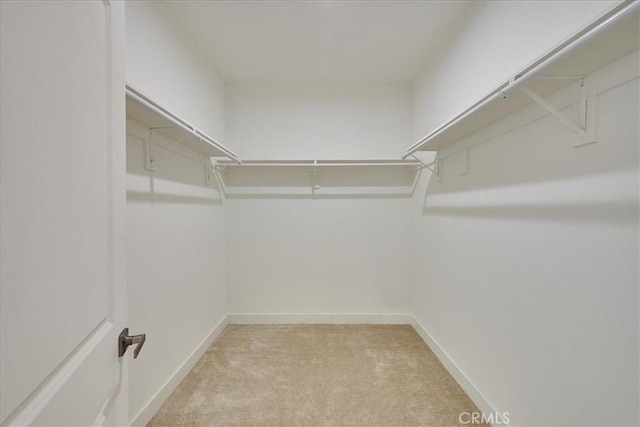 walk in closet with light colored carpet