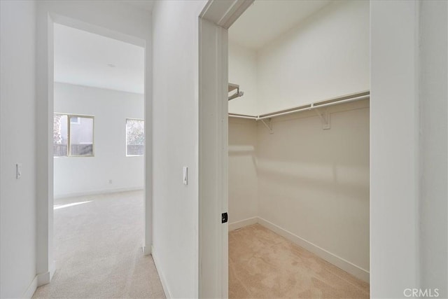 spacious closet featuring light colored carpet