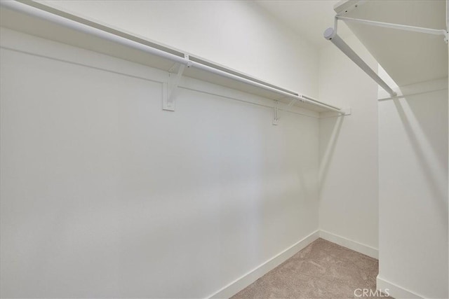 spacious closet with light carpet