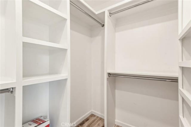 spacious closet with wood-type flooring