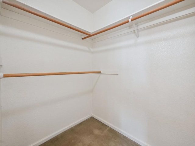 walk in closet with carpet floors