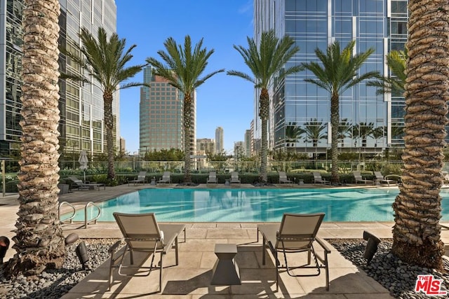 view of pool featuring a patio area