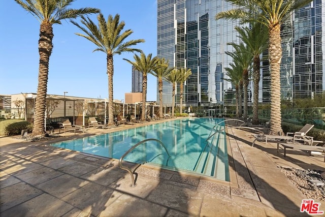 view of pool with a patio