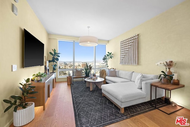 living room with wood-type flooring