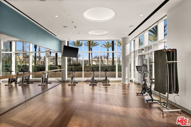 workout area featuring wood-type flooring and floor to ceiling windows