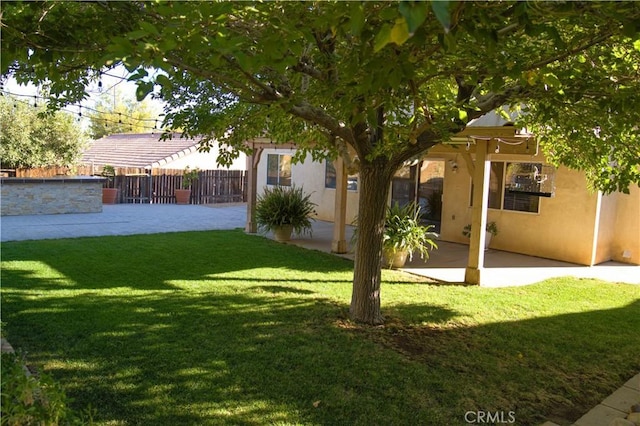 view of yard featuring a patio area