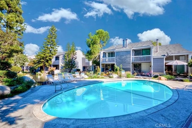 view of swimming pool with a patio