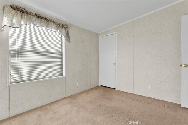 carpeted spare room with lofted ceiling and ornamental molding